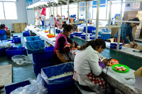 Plastics Ningbo