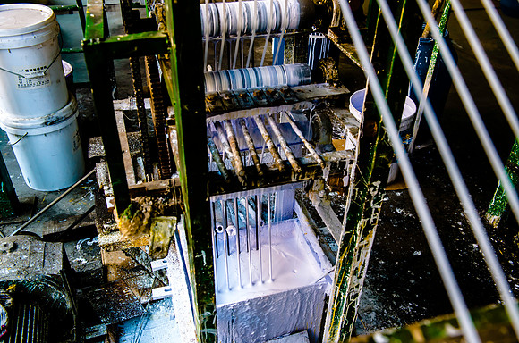 _DSC1244