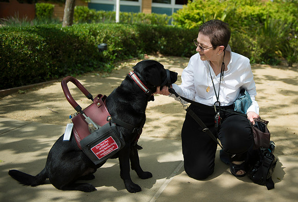 _DSC5625